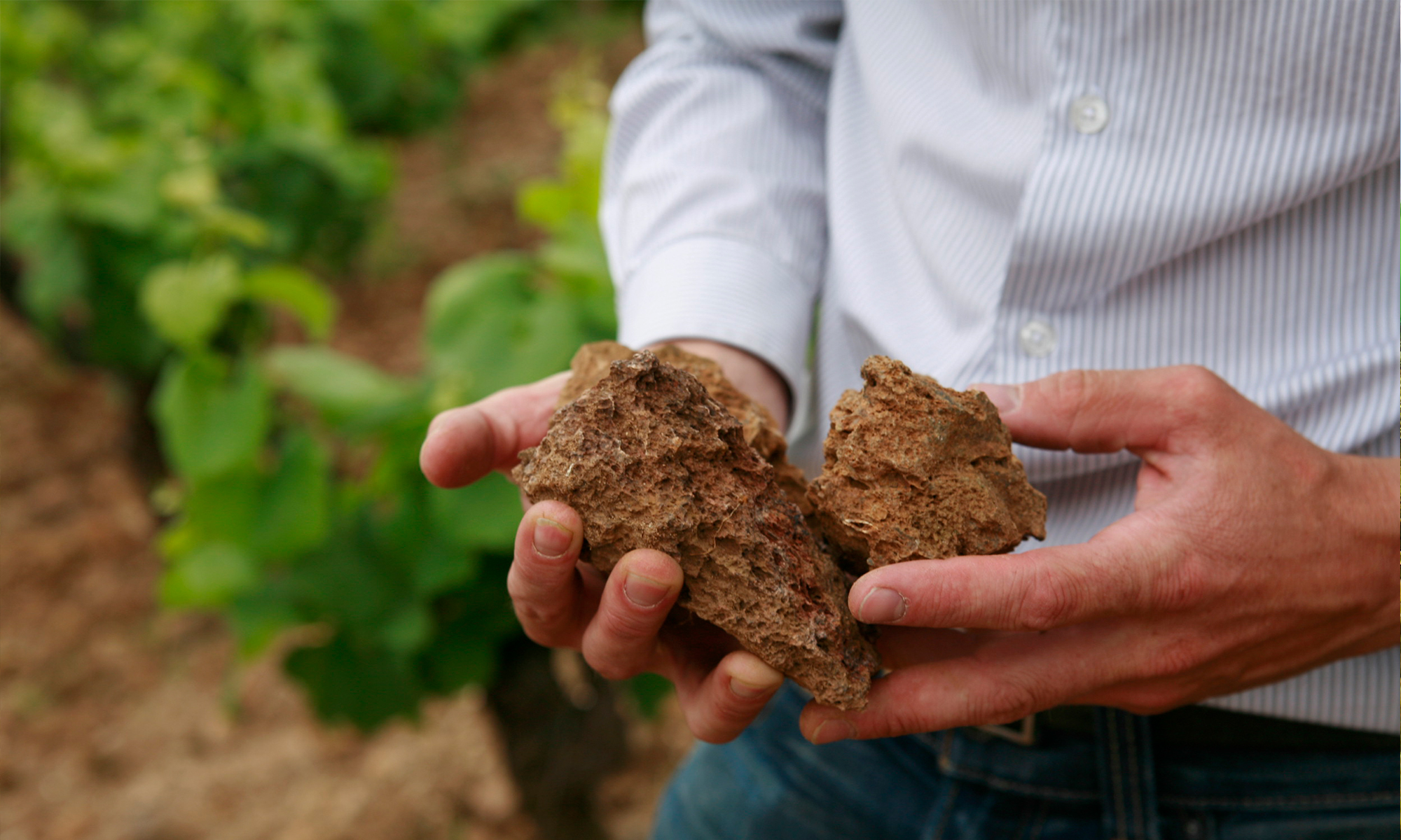 私たちが大切にしていること
